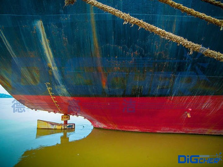 ��������P�g