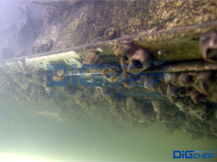 �ىظ����ں����O(sh��)ʩ����