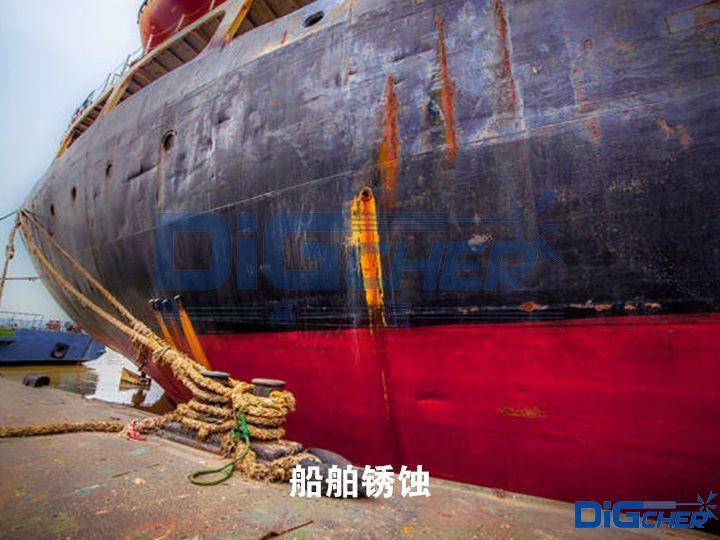 �����P�g