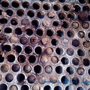 �켈�S���l(f��)����ϴ�C-�A����܇�g���l(f��)���߉���ϴ�C